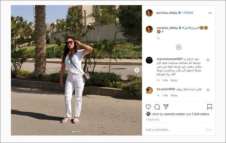 الفنانة نرمين الفقى تخطف الانظار بهذه الاطلالة صور