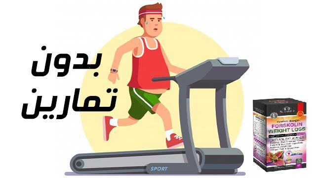 https://christian-dogma.com