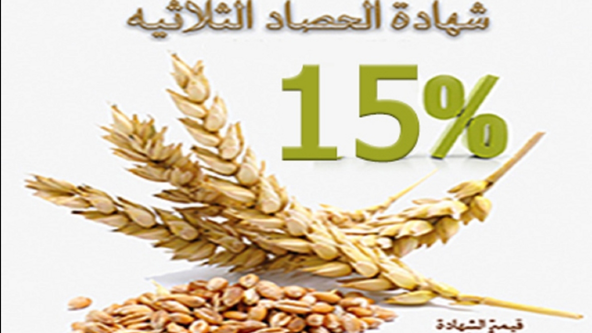 البنك الزراعي المصري يطرح اقوي شهادات ادخار أحصل علي ارباح خيالية