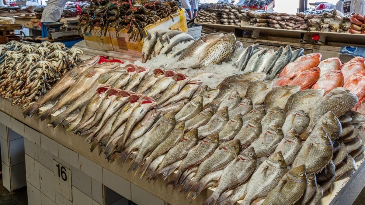 أسعار السمك فى الأسواق المصرية اليوم الإثنين الموافق 13 يونيو 2022