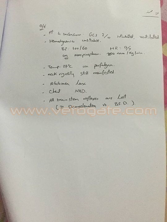 https://christian-dogma.com الملف الطبي لداليا محرز يثبت إصابتها بالتهاب سحائي أدى لوفاتها