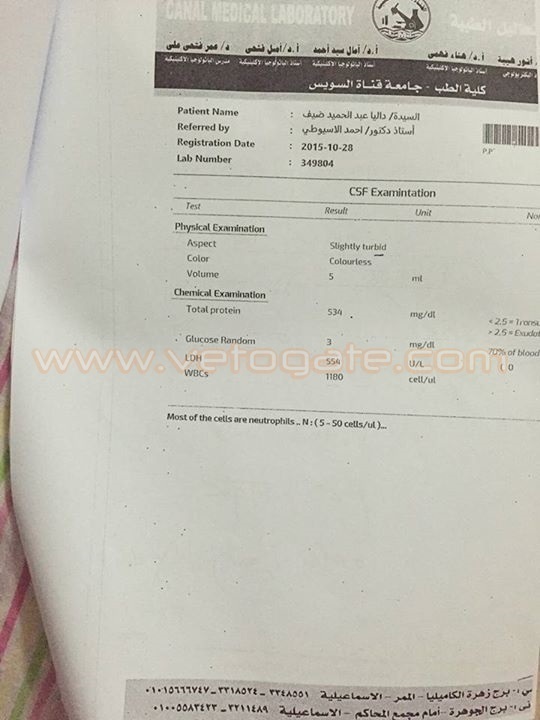https://christian-dogma.com الملف الطبي لداليا محرز يثبت إصابتها بالتهاب سحائي أدى لوفاتها