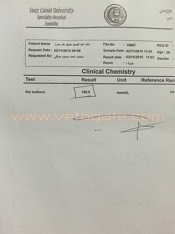 https://christian-dogma.com الملف الطبي لداليا محرز يثبت إصابتها بالتهاب سحائي أدى لوفاتها
